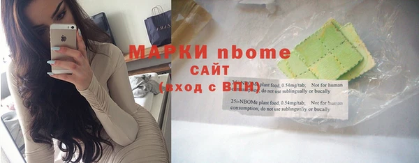 мдпв Богородицк