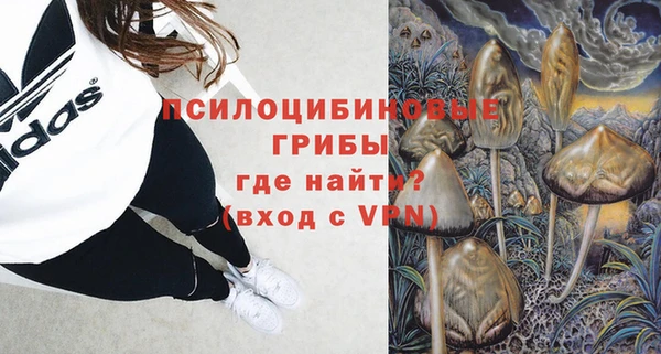 спиды Белокуриха