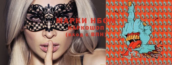 индика Балабаново