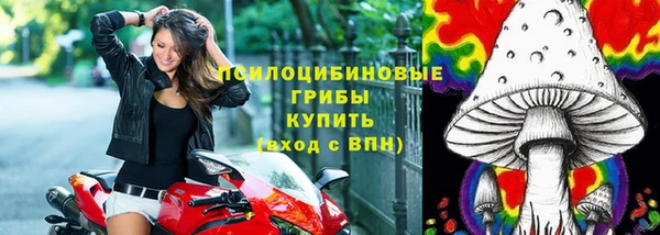 СК Балахна