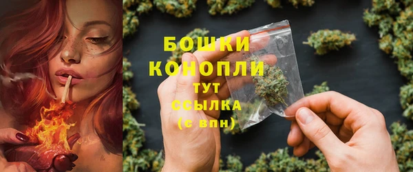 индика Балабаново