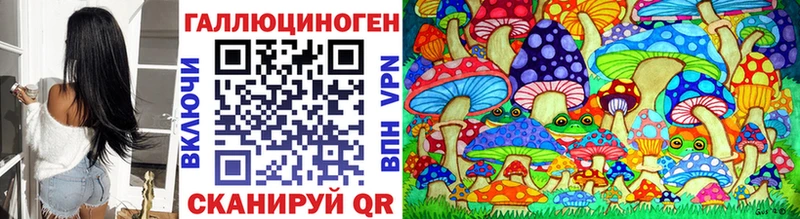 МЕГА вход  Великий Устюг  Псилоцибиновые грибы Psilocybe 