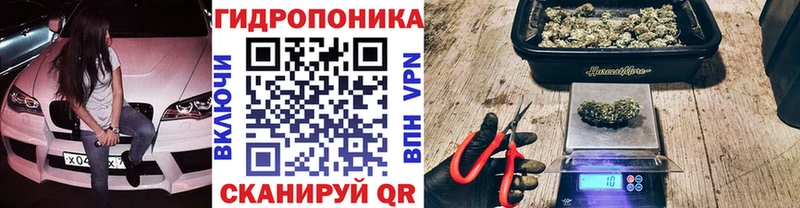 Каннабис Ganja Великий Устюг